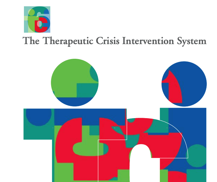Therapeutic crisis intervention TCI Training System Overview
