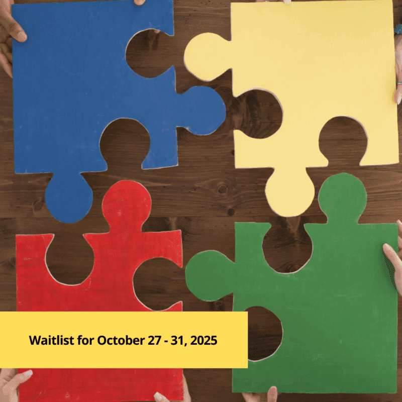 Therapeutic Crisis Intervention (TCI): Trainer Certificate (7th Edition)