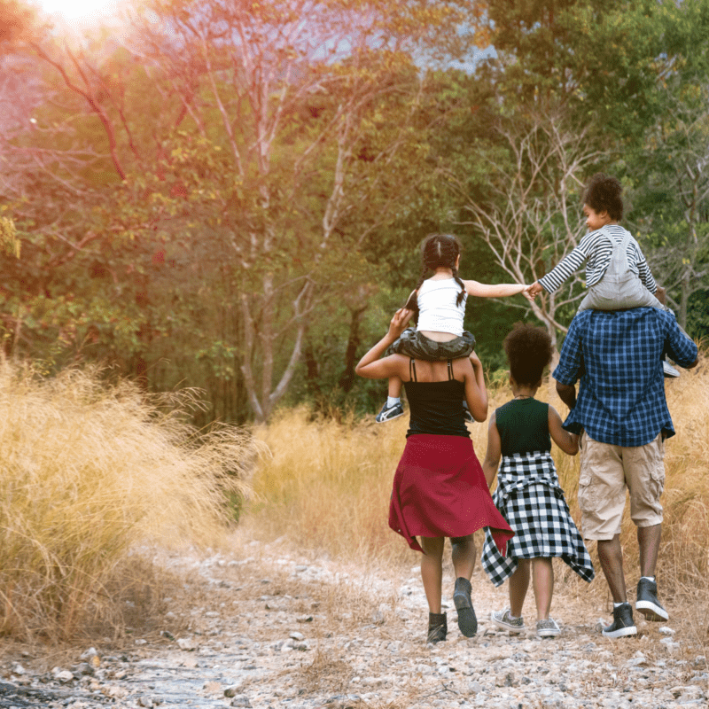 TCI Update: TCI for Families Ed. 4
