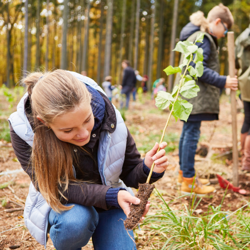 Eco-Anxiety in Youth and Young Adults: Addressing the Effects of Climate Change on Mental Health Through a Trauma Lens