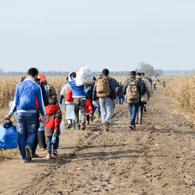 Addressing Pre- and Post-Migration Trauma Related to Conflict and Displacement
